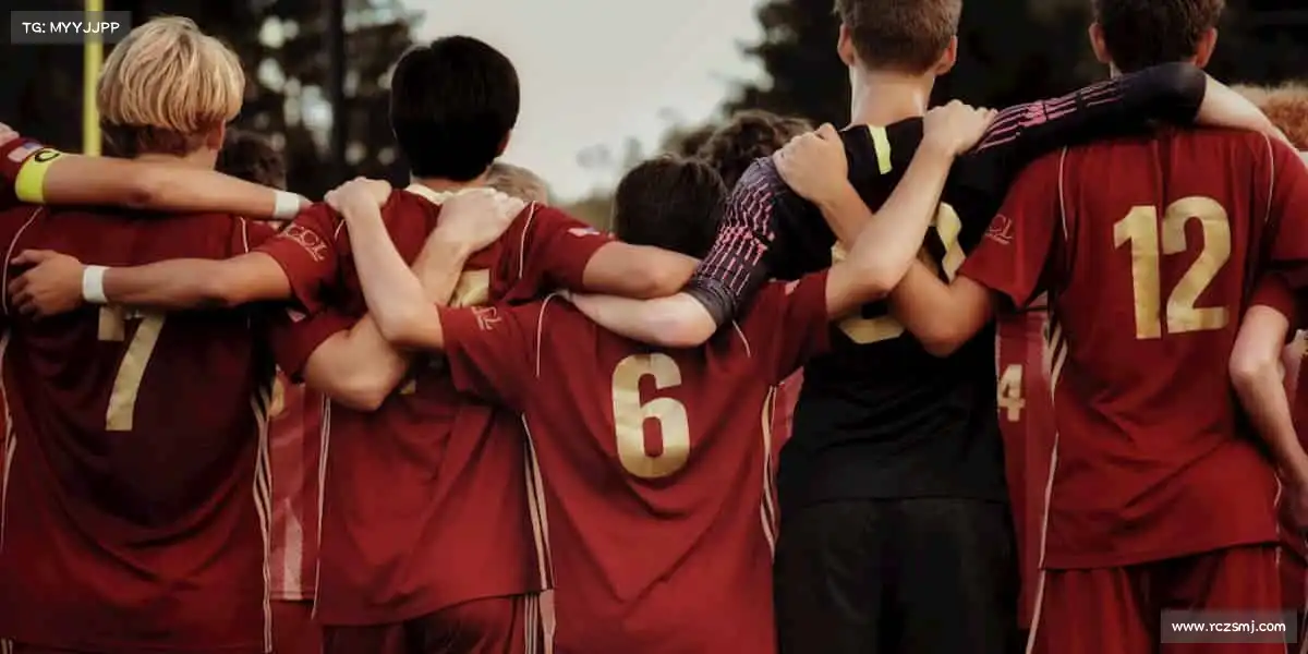 为什么选择我们